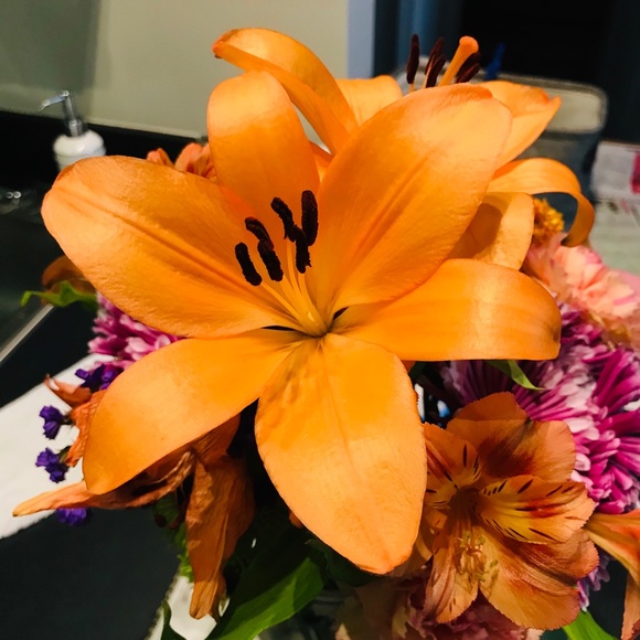 Meet your Posher, Karen - Picture 1 of 1